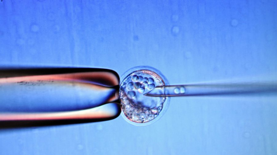 Woman Sues Hospital for Storing Frozen Embryo for 13 Years Without Her Knowledge