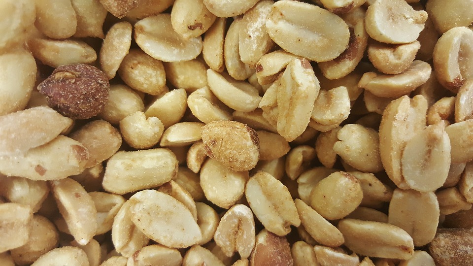 Toddlers Could Tame Peanut Allergy: Study