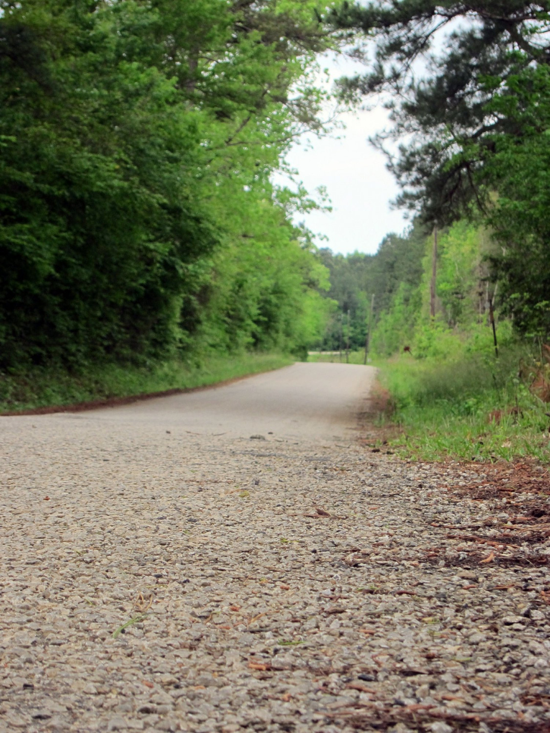 A section of Huff Creek Road, where James Byrd Jr. was dragged to death by three white men in Jasper, Texas, photo taken on April 12, 2019. (Juan Lozano/AP Photo)