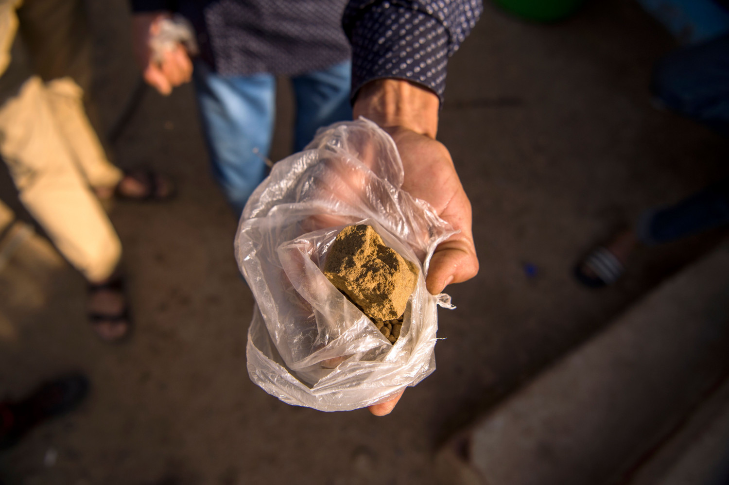 Scientists Find Dangerous Levels of Fecal Matter in Street Cannabis