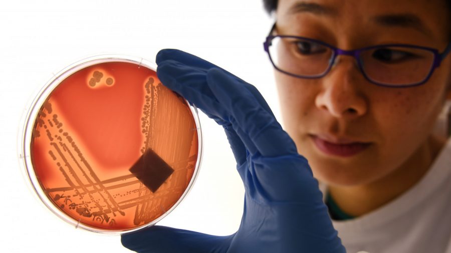 Drug-resistant Deadly ‘Super Fungus’ Continues To Spread Through Hospitals