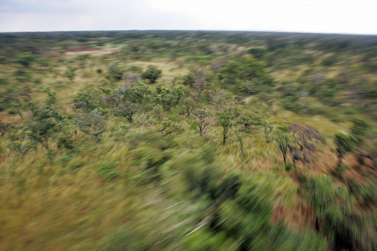 A helicopter photo of Ugandan plain. (Roberto Schimdt/AFP/Getty Images)
