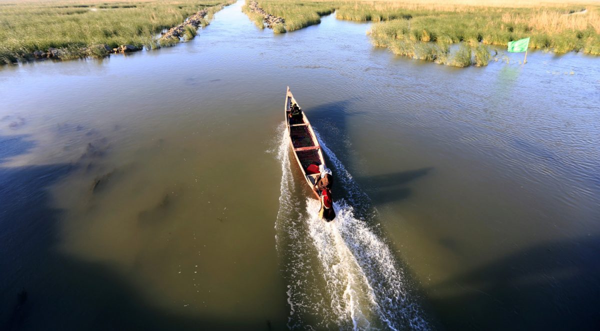 An Iraqi Marsh Arab man rides a boat at the Chebayesh marsh in Dhi Qar province, Iraq April 14, 2019. (Thaier al-Sudani/Reuters)