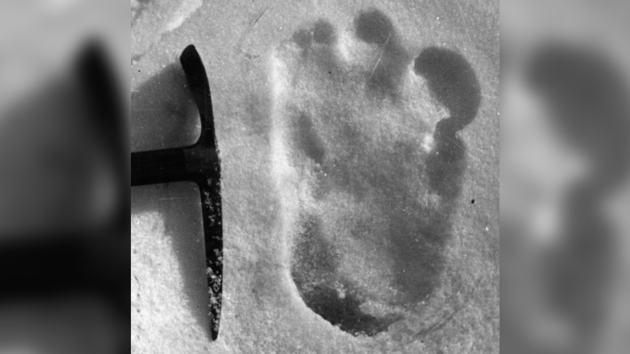 ‘Yeti’ Footprints Sighted Claims Indian Army Tweet, Sparks Social Media Reaction