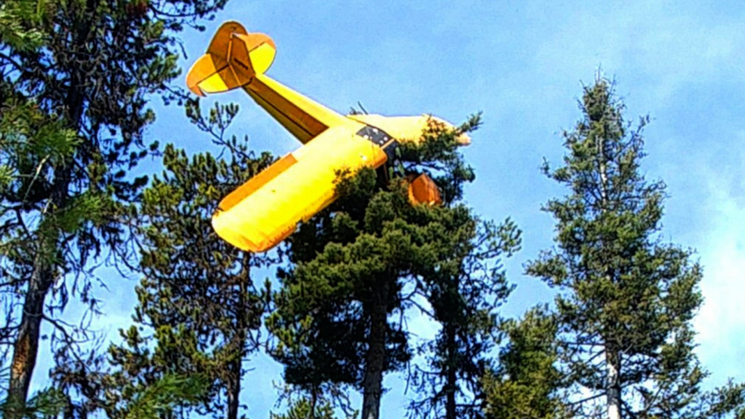 Pilot Rescued From Plane That Crash-Landed Atop Idaho Tree