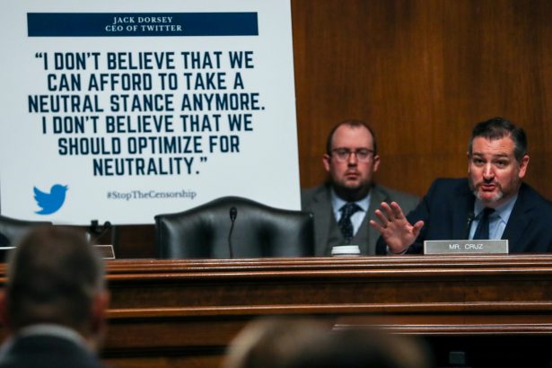 Senator Ted Cruz (R-TX) questions Facebook policy director Neil Potts before a Senate Judiciary Constitution Subcommittee hearing titled "Stifling Free Speech: Technological Censorship and the Public Discourse." on Capitol Hill in Washington on April 10, 2019. (Jeenah Moon/Reuters)