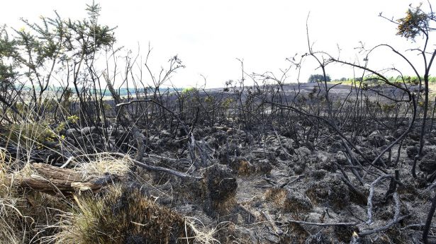The scene of a fire at Ashdown Forest in East Sussex, on April 29, 2019. (Gareth Fuller/AP)