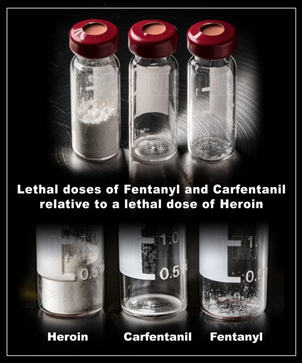 A comparison of the lethal doses of heroin, carfentanil, and fentanyl. (Drug Enforcement Agency)