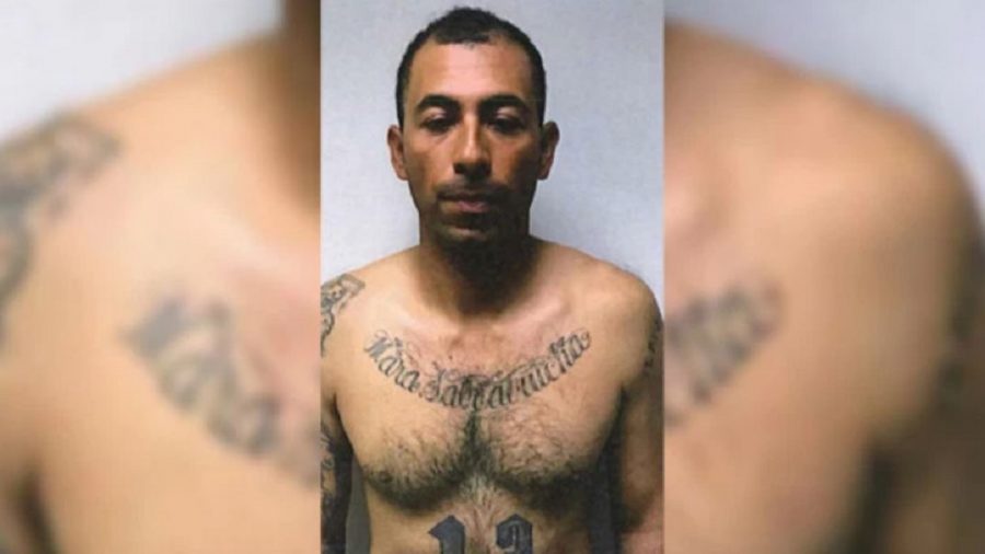 MS-13 Member Deported After Killing Caught Back in New York