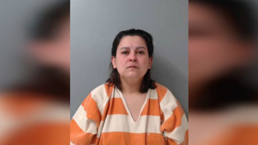 Mother Accused of Putting Toddler’s Body in Bucket of Acid Sentenced on Unrelated Charge