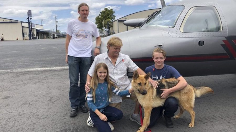 Colorado Dog Reunited with Florida Family after 2017 Theft