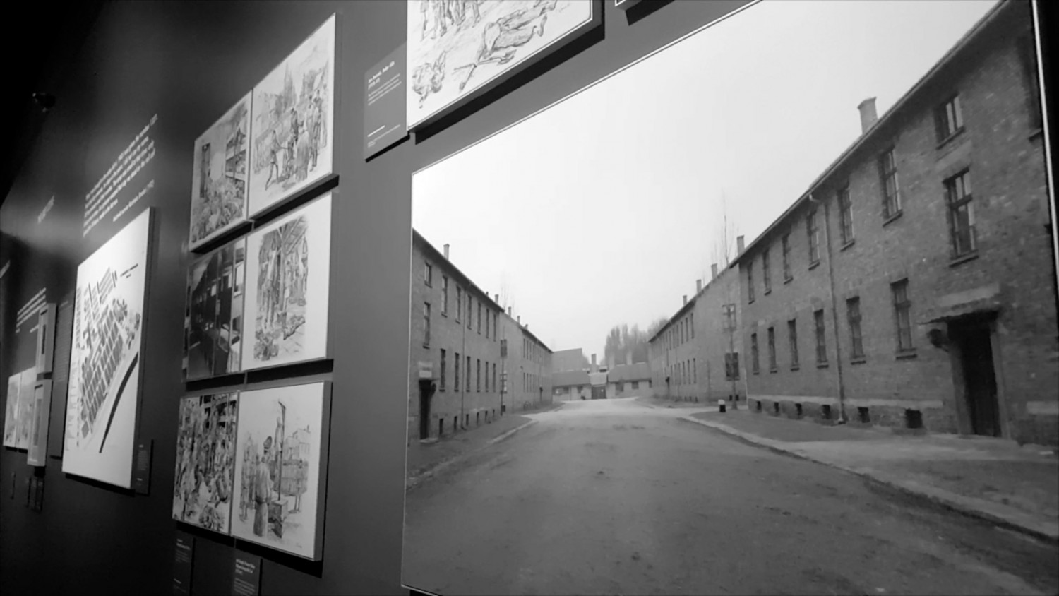 Auschwitz Exhibit Shows Perseverance of Holocaust Victims