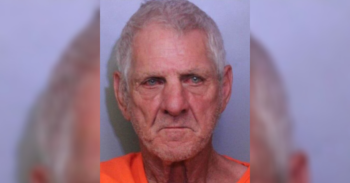 68-Year-Old Man Arrested After Crashing Mower Into Florida Police Car
