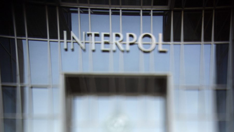 50 Children Saved as Interpol Exposes International Pedophile Ring
