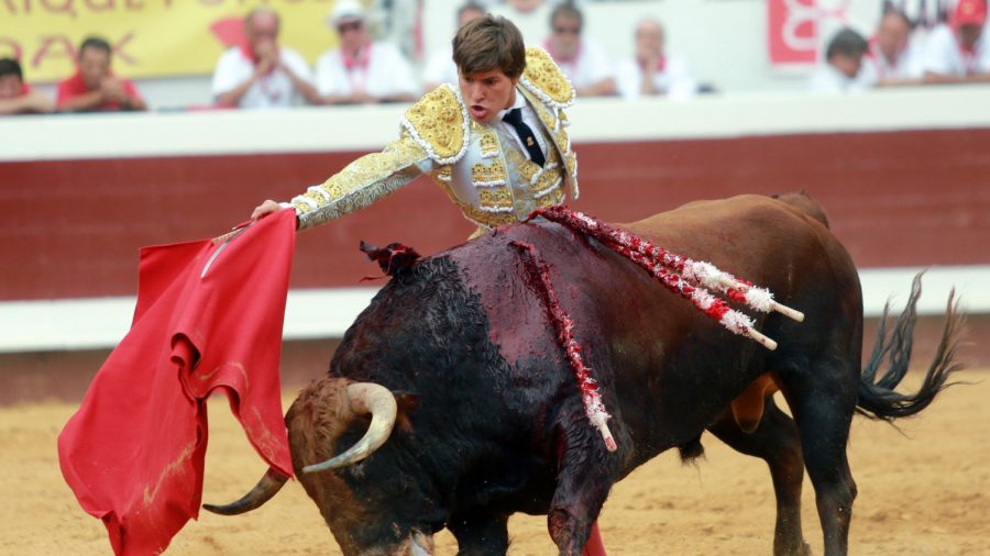 French Matador Gets Gored up His Rectum