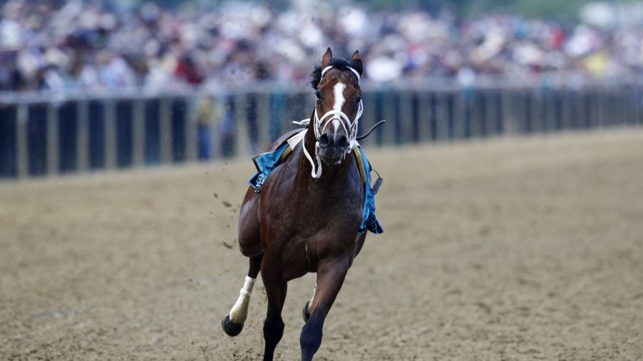 Horsing Around: Riderless Colt Races to Preakness Finish