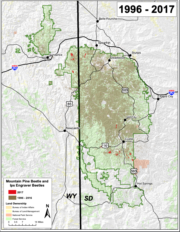 The forest area affected by the pine beetle outbreak from 1996 to 2017. (U.S. Forest Service)