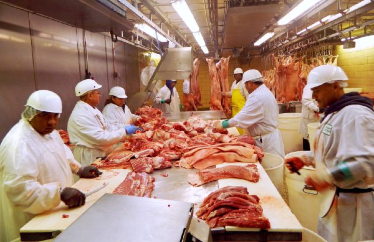 Workers cut pork at Park Packing—one of the Chicago's few remaining slaughterhouses in Chicago, Ill., on July 18, 2015. (Karl Plume/Reuters)