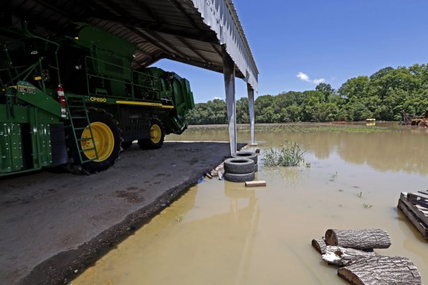 A cotton picking tractor of Grosvenor Farms sits marooned in its Holly Bluff, Miss., on May 23, 2019. (Rogelio V. Solis/AP Photo)