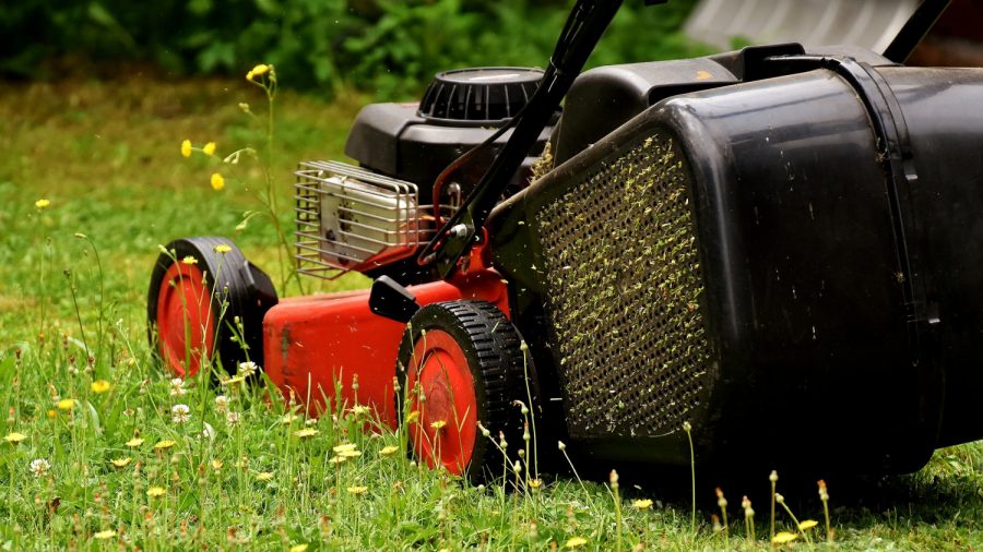 Florida Man Sues City Over Possible Foreclosure on His House for Not Mowing His Lawn