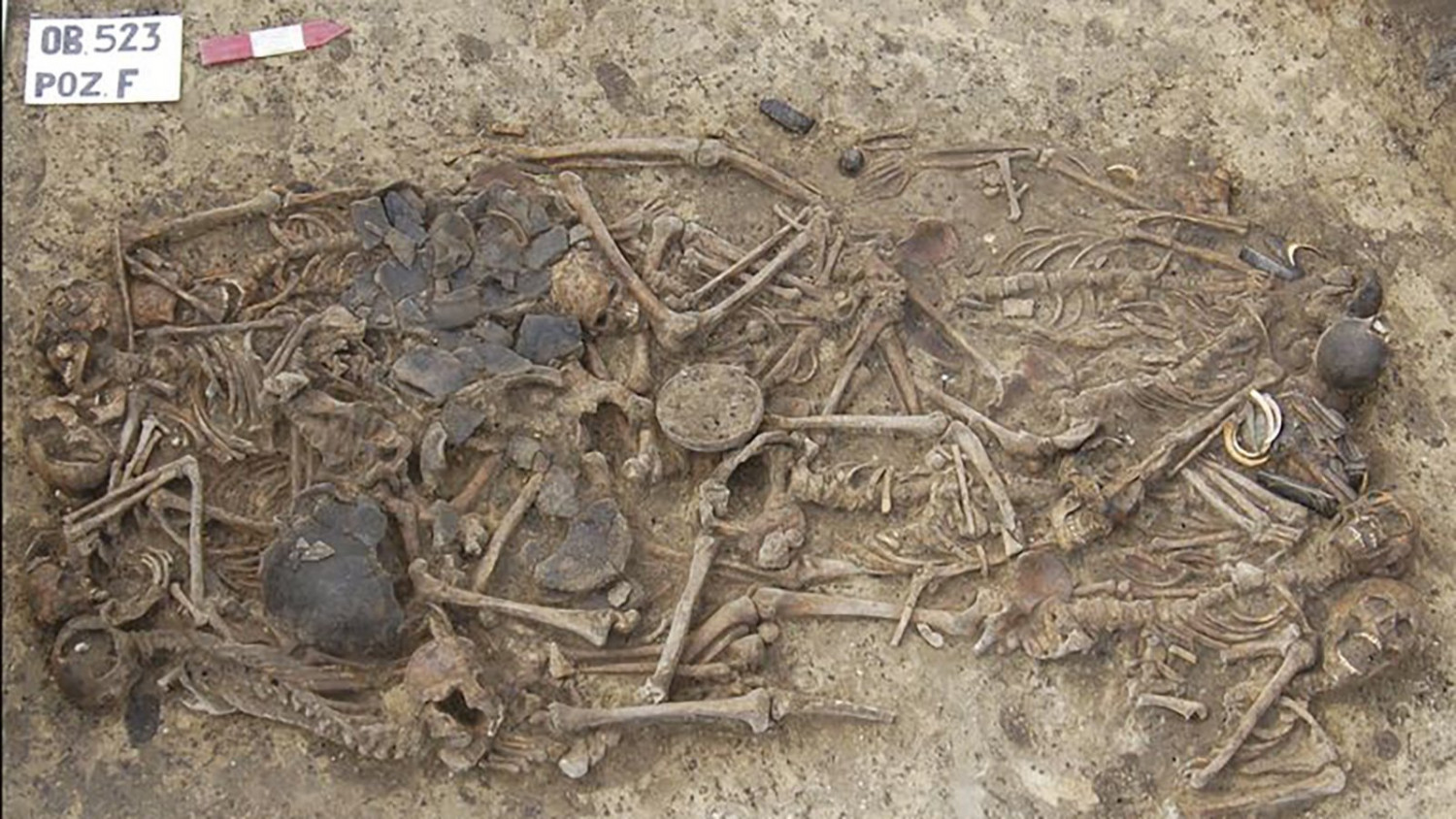 5,000-Year-Old Mass Gravesite Reveals Family Tragedy