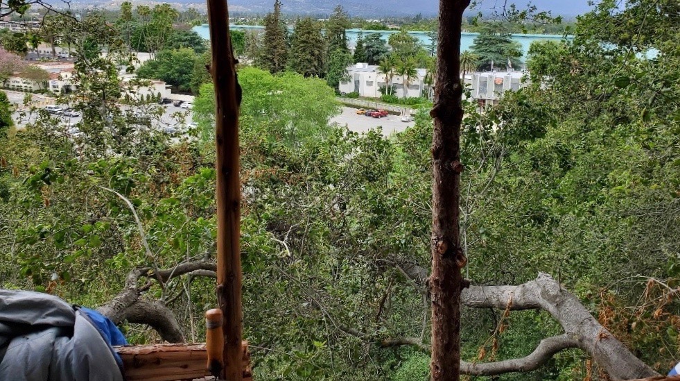 Police Find Burglar Living in ‘Very Well-Built and Modern Tree House’