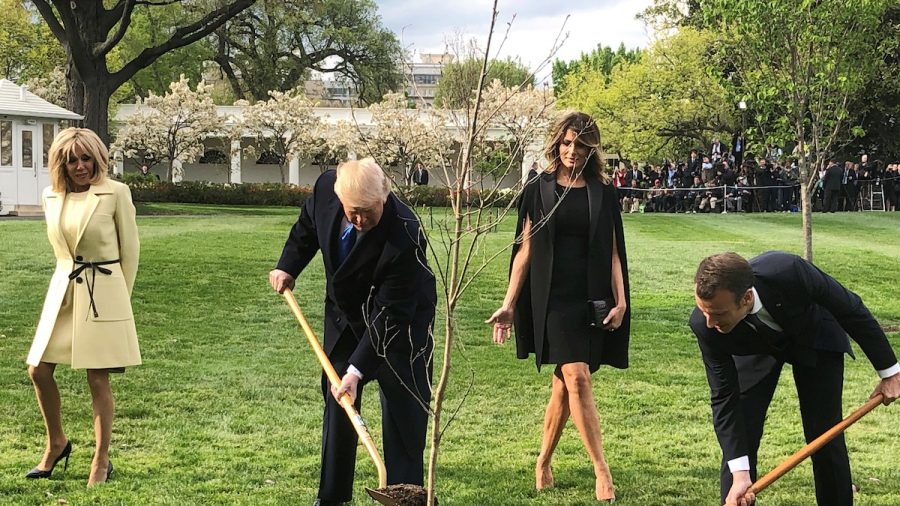 Macron to Send New Tree to Trump After Oak Gift Died