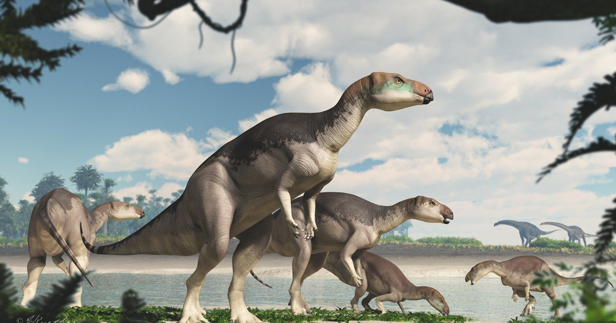 Dinosaur Herd Discovered in Australian Outback For the First Time in History