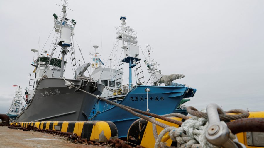 After 30 Years, Japanese Ships Prepare to Resume Commercial Whaling