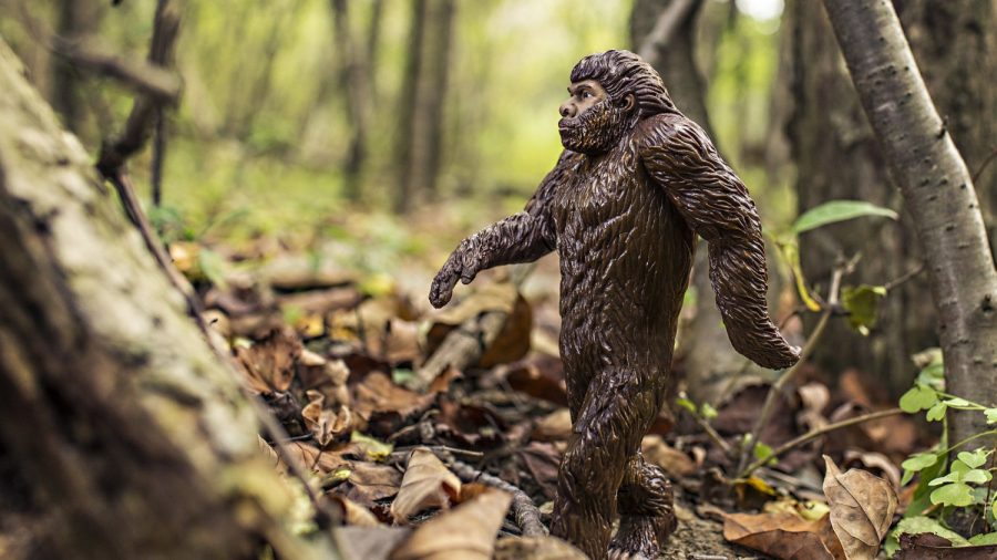 FBI Finally Releases Test Results From Suspected ‘Bigfoot’ Hair Specimen After 40 Years