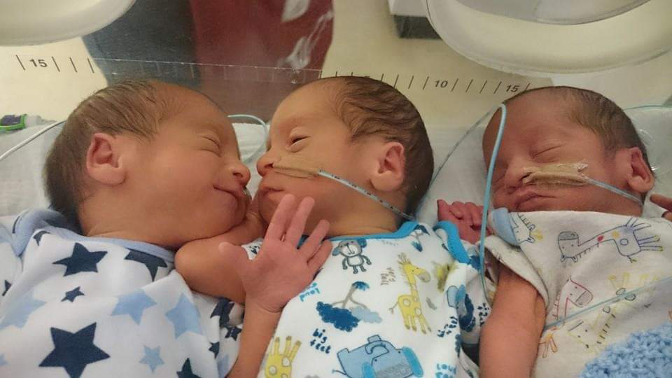 The triplets had a 50 percent survival rate. (Claire Cerikci)