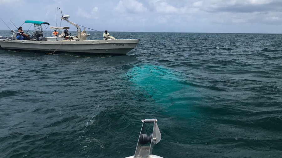 Investigators Recover Helicopter That Crashed in Bahamas, All Victims Identified