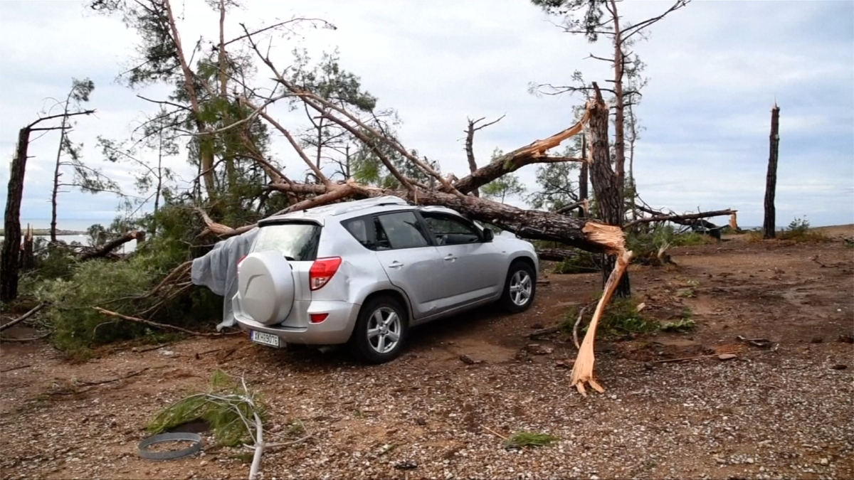 An uprooted tree fell on a vehicle in Greece after a violent storm hit on July 11, 2019. (Still Image from video/Reuters)