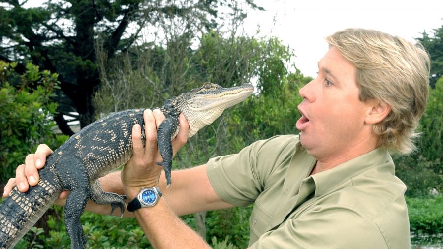 Steve Irwin’s Son Looks Exactly Like Him in This Re-created Photo