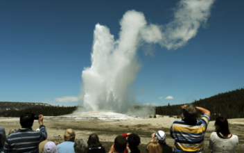 Men Charged for Walking Onto Yellowstone National Park’s Old Faithful Geyser