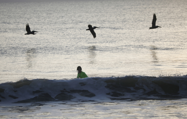 Pelicans fly over a youth swimming at Playalinda Beach just north of the Kennedy Space Center in Florida, on April 10, 2019. (Gregg Newton /AFP/Getty Images)