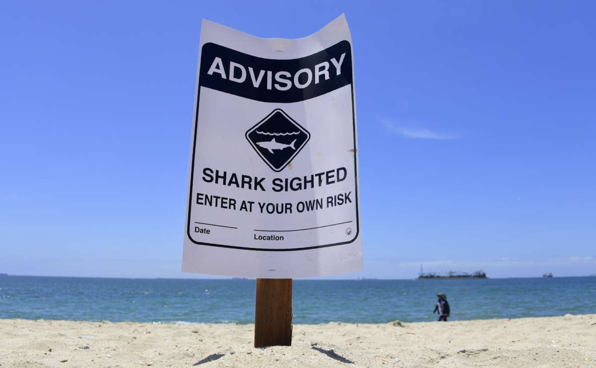 Warning signs for shark sightings remain in Long Beach, Calif, on May 16, 2017. (Frederic J. Brown/AFP/Getty Images)