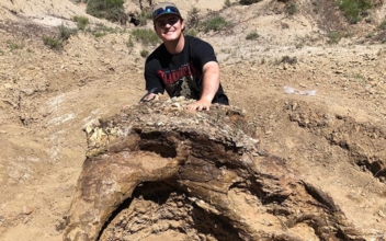 Student Discovers 65 Million-Year-Old Dinosaur Skull, Has Grand Plans to Give It Second Life