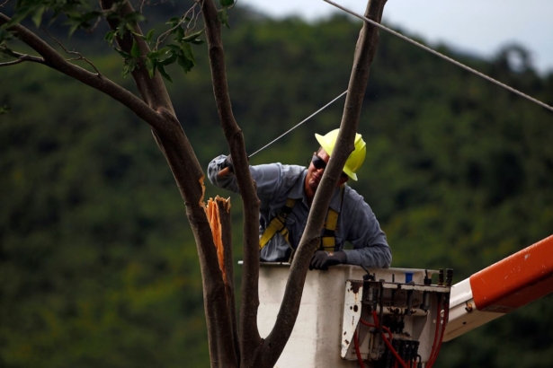 An electrical worker cuts tree branches with a machete to clear a downed power line. (Ricardo Arduengo/AFP/Getty Images)