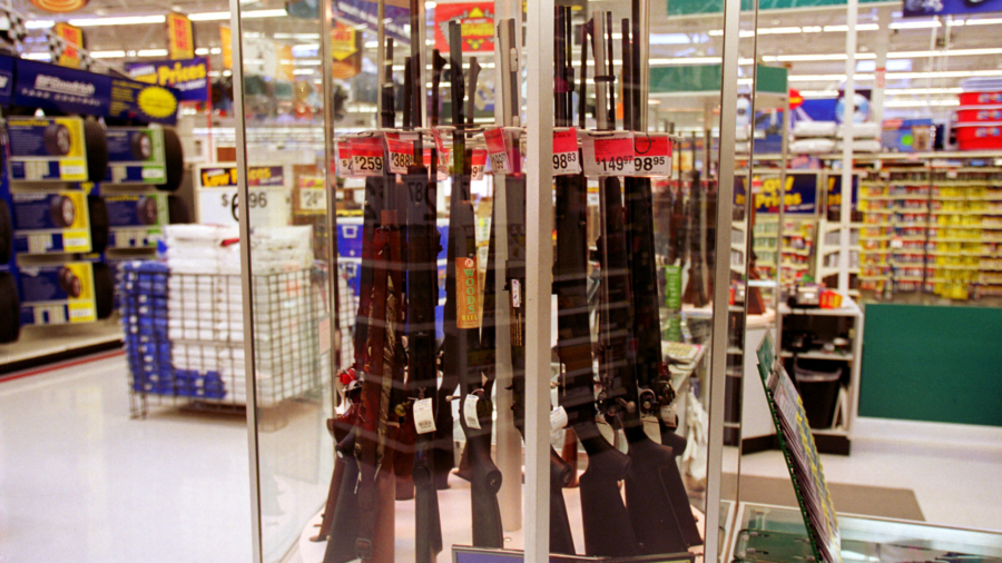 New Hampshire Governor Vetoes 3 Gun Control Bills