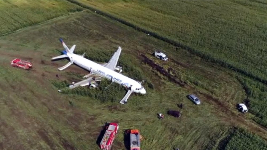 Russian Pilots Land Plane in Cornfield After Bird Strike Disables Plane