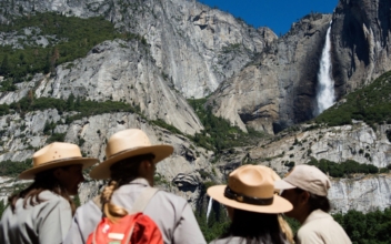 A 21-Year-Old Man Died After Falling Near a Waterfall in Yosemite National Park