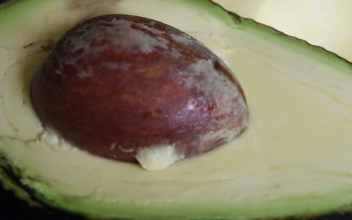 The Rare ‘Long Neck Avocado’ That’s Taking Social Media By Storm