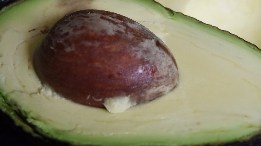 The Rare ‘Long Neck Avocado’ That’s Taking Social Media By Storm
