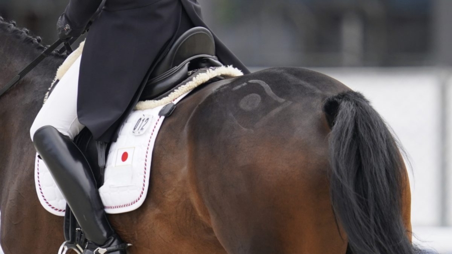 Equestrian Star, 15, Dies in Riding Accident