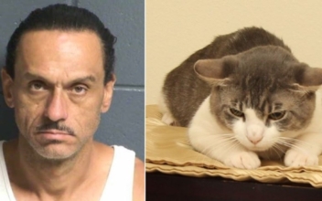 Man Accused of Animal Cruelty After Cat Tests Positive for Meth