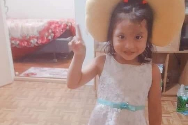 Alysson Pinto-Chaumana , 5, died after being a fence collapsed and caused her to fall and hit her head. (GoFundMe)