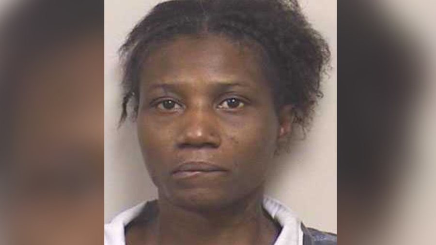 Woman Charged After Leading Police to Apparent Remains of 5-Year-Old Child