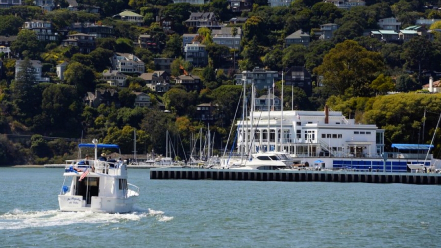 Mexican Tycoon Arrested After Boat Kills Son in San Francisco Bay