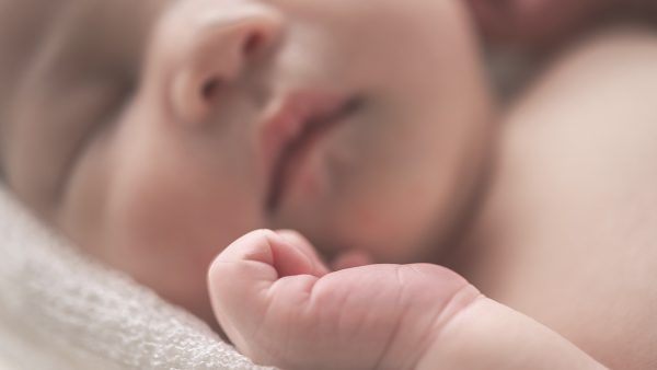 Babies Born in Order to Harvest and Sell Body Parts Say Abortionist
